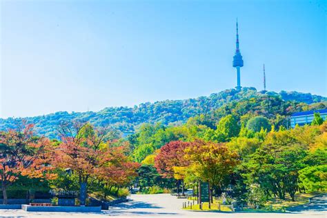 south korea escorted tours|Best South Korea Tours & Vacations 2025/2026